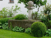 Stone column with ball in front of stone trough, Buxus (Buchs-Kugel)
