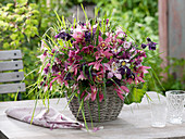 Spring bouquet from Aquilegia, Alchemilla