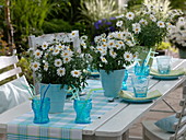 Daisies - table decoration