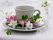 Tasse mit kleinem Kranz aus Aquilegia (Akelei)