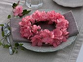 Small wreath from Rhododendron simsii (Zimmerazalee)