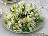 Plate wreath of elder flowers and feverfew