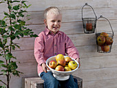 Boy with a colander with apples 'Cox Orange'