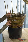 Homemade willow lining for plastic pots (5/8)