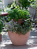 Plant a double pot with herbs