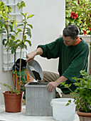 Planting a sweetbread balcony (5/9)
