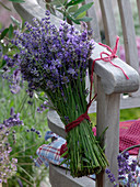 Freshly picked lavandula bouquet (lavender)