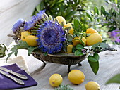 Schale mit Cynara scolymus (Artischockenblüten), Citrus limon (Zitronen)