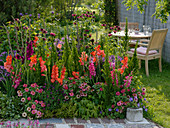 Late summer bed with gladioli