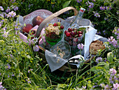 Picnic basket with fruits, water and bread