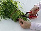 Bouquet in grass sleeves