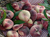 Freshly harvested vineyard peaches in flat wicker basket