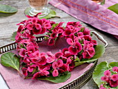 Heart of flowers of bright red edel geranium
