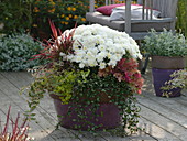 Mother and daughter planting autumn containers (2/2)