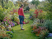 Herbstbeete mit Gräsern, Stauden, Sommerblumen und Gehölzen