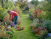 Autumnal beds with grasses, perennials, summer flowers and shrubs