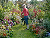 Herbstbeete mit Gräsern, Stauden, Sommerblumen und Gehölzen