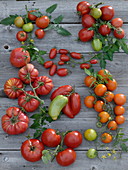 Tableau with different types of tomatoes