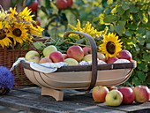 Englischer Spankorb gefüllt mit Äpfenl und Sommerblumen