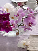 Orchids in glass bowl as table decoration