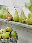 Pears 'Concord' lined up on wooden shelf