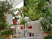 Weißer Balkon mit Chili und Tomaten