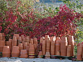 Topflager aus Tontöpfen vor Herbst hintergrund