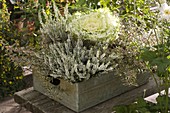 Tin box with broom heather and ornamental cabbage