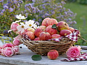 Korb aus Clematisranken mit Äpfeln , andekoriert mit Blumen