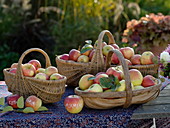 Körbe mit Äpfel auf Tisch