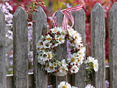 Small wreath of autumn asters and rose hips on wooden fence