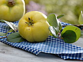 Close-up of a quince fruit on napkin