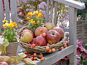 Basket with apples and ornamental apples on wooden bench