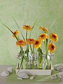 Modern arrangement with gerberas and grasses in small glass bottles