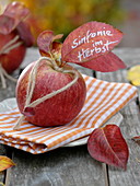 Herbstliche Serviettendeko : Apfel (Malus) mit Herz aus Schnur