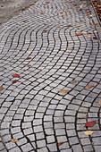 Path of natural stones paved in waves, autumn leaves