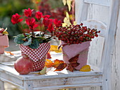 Cyclamen (Alpenveilchen) und Strauß aus Hagebutten (Rosa)