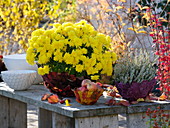 Herbstchrysantheme, Besenheide und Äpfel in mit Blättern beklebten Schalen