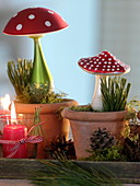 Toadstools made of glass in clay pots with Pinus (pine)