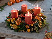 Scented Advent wreath of mixed coniferous green and Ilex