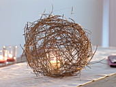 Ball of pine needles (Pinus strobus) as a lantern