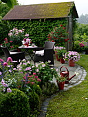 Kleine runde Terrasse mit Sitzgruppe und Kübelpflanzen