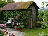 Kleine runde Terrasse mit Bank und Kübelpflanzen