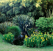 Die Seerosenteiche mit Phormium und Iris im Huntington Botanical Gardens, Los Angeles, Kalifornien