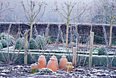 Winter im Gemüsegarten mit Terrakotta-Treibkästen