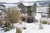 Teahouse in a winter garden, snow-covered beds with miscanthus