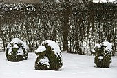 Shaped animal figures in snowy garden