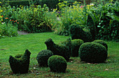 Box TOPIARY CHICKENS AND EGGS, FERNS AND PARSNIP FLOWERS PRIONA Garden, Holland / Designer: HENK GERRITSEN