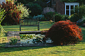 Sitzplatz neben dem quadratischen Teich mit (R) Acer palmatum dissectum atropurpurea, Cotinus coggygria purpurea