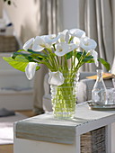 White bouquet of Zantedeschia (indoor calla) in glass vase